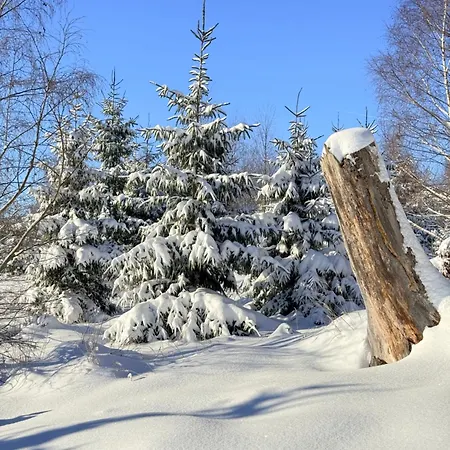 Haus Wanderlust - Zwei In Einem Haus Fuer Bis Zu 13 Personen - Naturnah, Stilvoll Eingerichtet - Ideal Fuer Familien Und Gruppen *