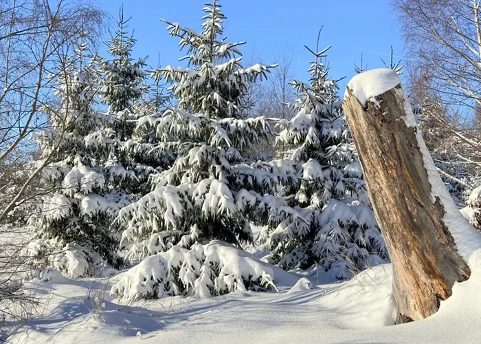 Haus Wanderlust - Zwei In Einem Haus Fuer Bis Zu 13 Personen - Naturnah, Stilvoll Eingerichtet - Ideal Fuer Familien Und Gruppen *